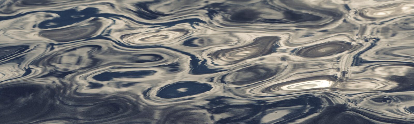 Fluid Ring