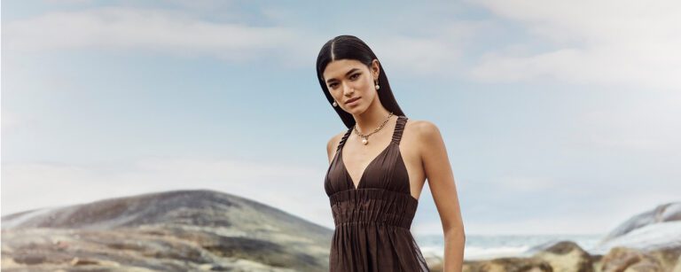 Rise campaign_Halcyon Link